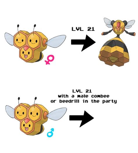 combee evolution chart|Combee Pokédex: stats, moves, evolution & locations.